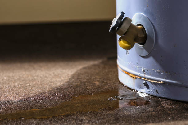 Best 24-hour water damage restoration  in Soperton, GA