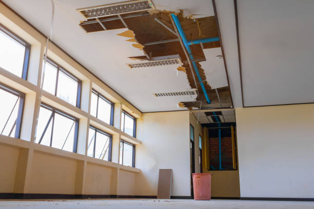 Best Ceiling water damage repair  in Soperton, GA