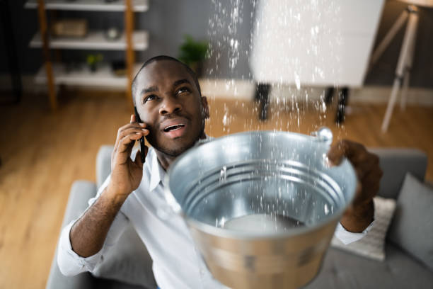Best Water damage restoration insurance claims  in Soperton, GA