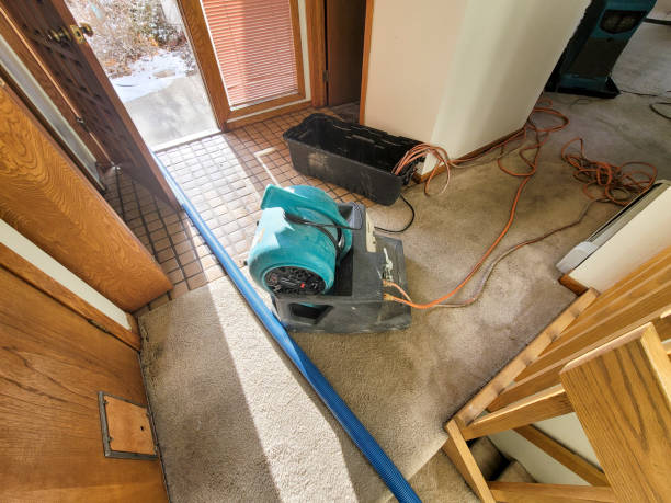 Best Flood restoration services  in Soperton, GA