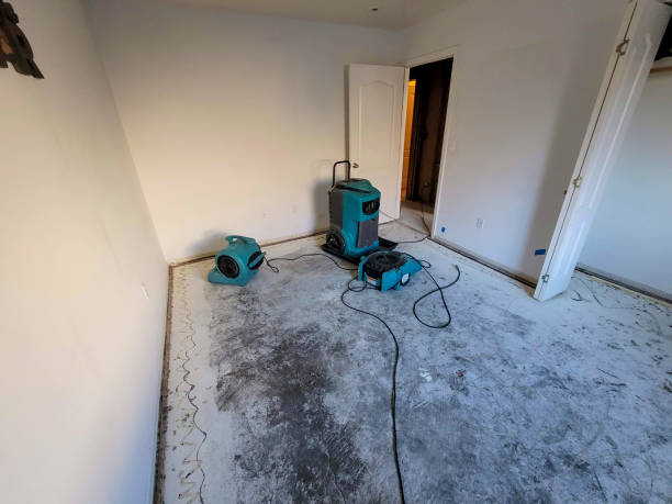 Best Ceiling water damage repair  in Soperton, GA