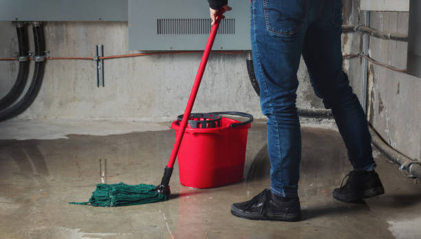 Best Local water damage restoration  in Soperton, GA