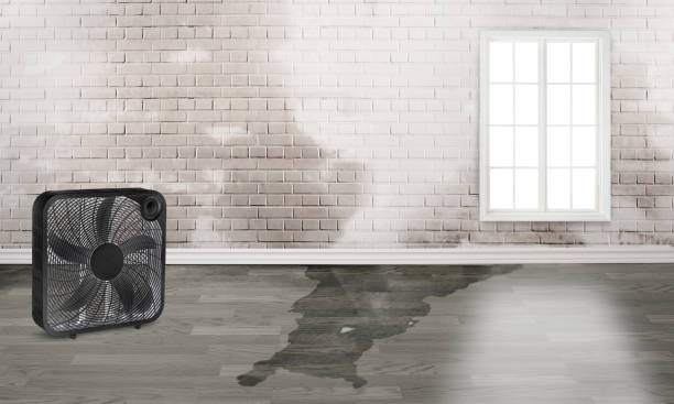 Best Water damage restoration mold remediation  in Soperton, GA