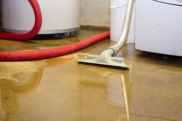 Best Flood damage cleanup  in Soperton, GA