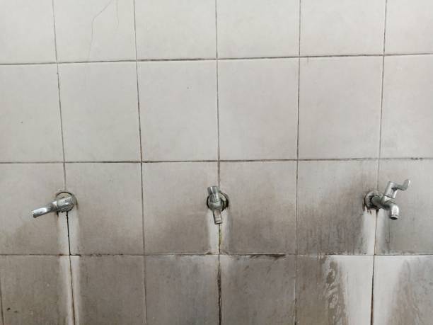 Best Water damage contractors near me  in Soperton, GA