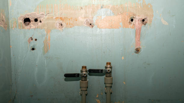 Best Residential water damage restoration  in Soperton, GA