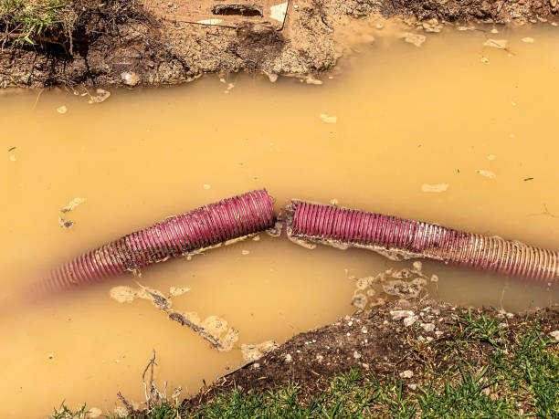 Best Commercial water damage restoration  in Soperton, GA