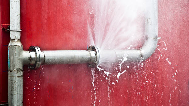 Best Water damage restoration specialists  in Soperton, GA
