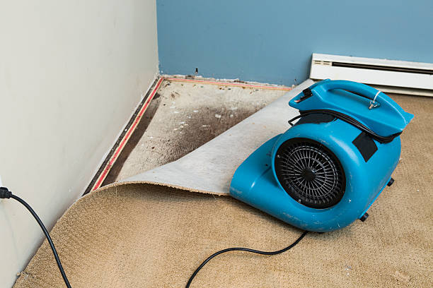 Best Water damage restoration services  in Soperton, GA